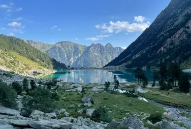 Le Lac de Gaube en été entouré de forêts et de montagnes verdoyantes.