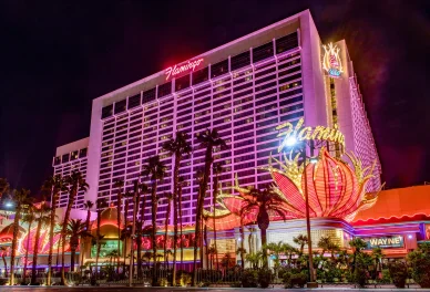 Flamingo Casino 