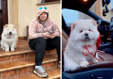 Пес Міши Лебіги