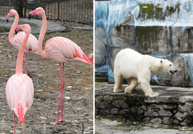 Миколаївський зоопарк