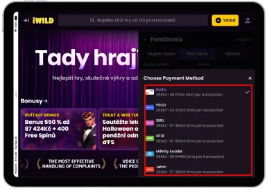 Platební metody v iWild Casino