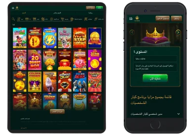 واجهة تطبيق كازينو كازينيا (Casinia) توضح مكتبة ألعاب السلوتس وتفاصيل المستوى الأول من برنامج كبار الشخصيات (VIP).