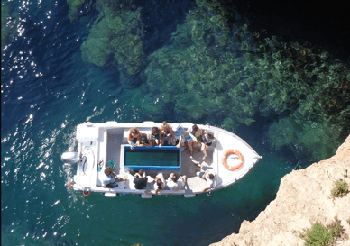 Observação do mundo subaquático sem mergulhar – passeios de barco com fundo transparente