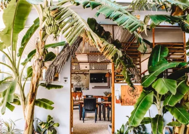 Dhiffushi Inn
