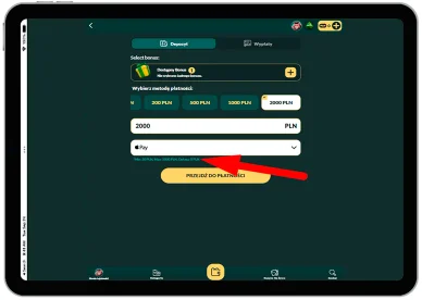 Dodatkowe opłaty Dodatkowe opłaty w Apple Pay Casino