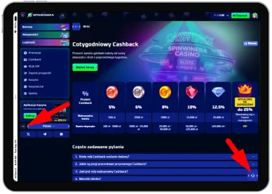 Wsparcie klienta Spinwinera — wsparcie klienta