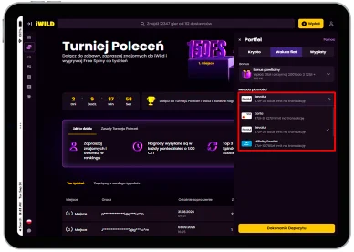 Płatności w Casino iWild