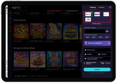 Metody płatności w kasynie Highflybet Metody płatności w kasynie