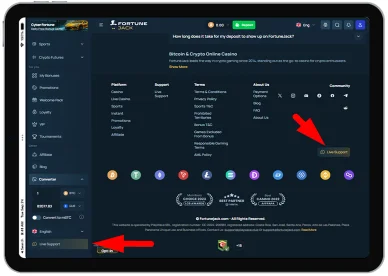 Wsparcie klienta Wsparcie klienta w FortuneJack kasyno