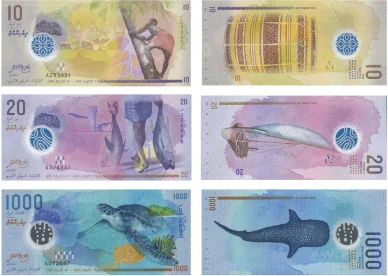 Maldivisk rufiyaa