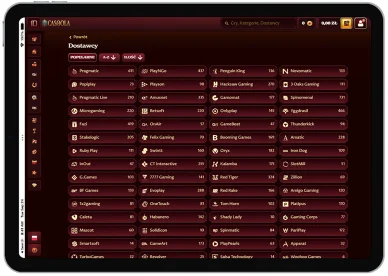 Dostawcy gry w kasynie Dostawcy gry w KasynoCasoola