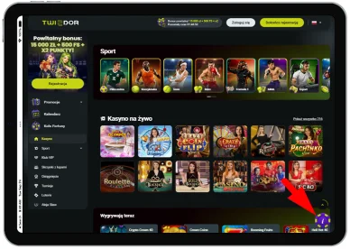 Twindor Casino — obsługa klienta