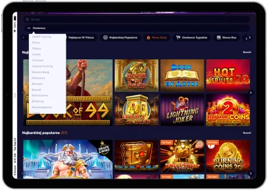 Dostawcy gry w kasynie Dostawcy gry w casino Mega