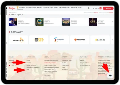 Wsparcie klienta RealSpin Wsparcie klienta