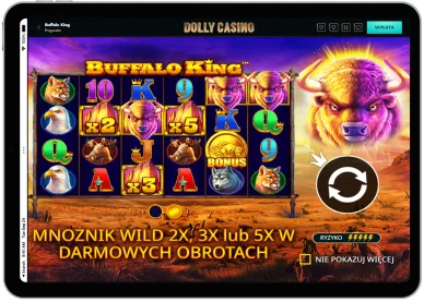 Wypłacalne sloty online — Buffalo King