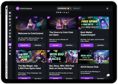 ボーナスとプロモーション