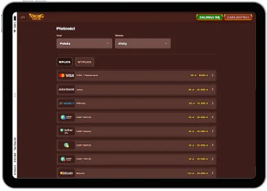 Metody wpłat w kasynie online VikingLuck