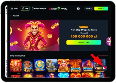 WildWinz Online Casino — wsparcie klienta