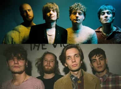 the vices band