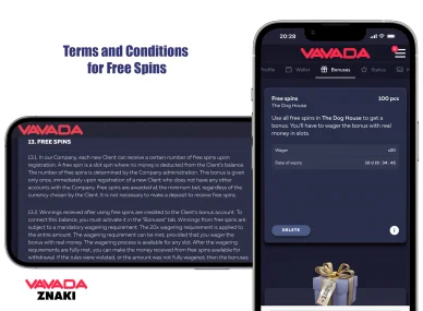 Terms and Conditiones of Vavada bonus Vavada Casino 100 free spins: rules