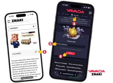Activating the promo code Vavada
