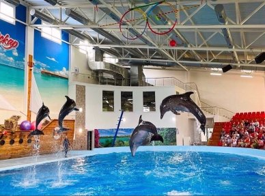 Дельфінарій 
