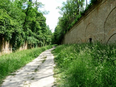 Рів і стіна Тараканівського форту