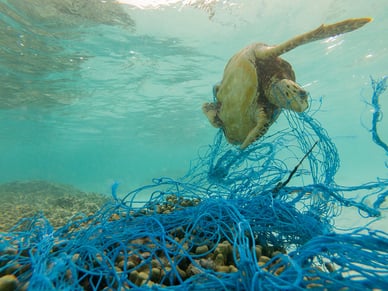 Images of Plastic Pollution in the Ocean