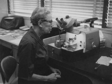 Катерина Езау