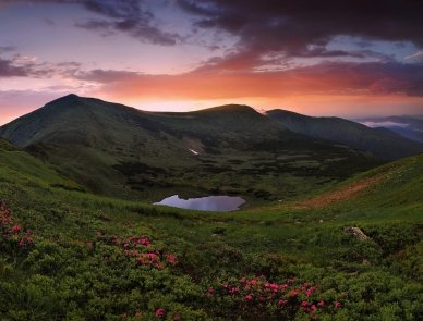 Несамовите 