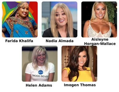 big brother contestants