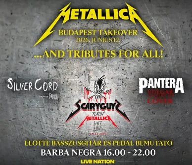 Metallica - Budapest Takeover Budapest Takeover