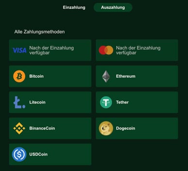 Online Casino Rioplay Auszahlungsmethoden