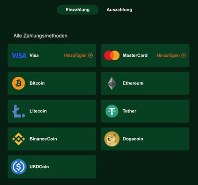 Casino Rioplay Einzahlungsmethoden