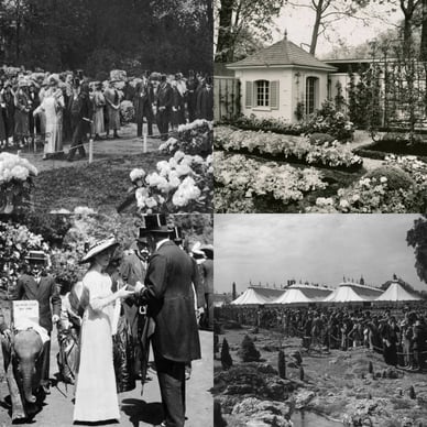 rhs chelsea flower show