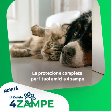 UniSalute 4ZAMPE