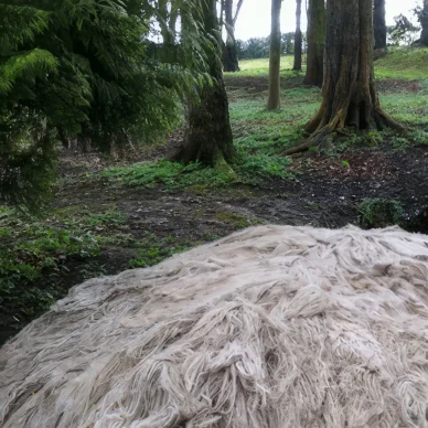 In situ d'Aurélie Mathigot, bouteille recouverte de fibres.