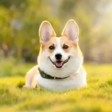 foto de perfil whatsapp Fotos de perfil para WhatsApp