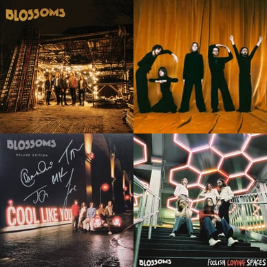 blossoms albums