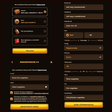 Lizaro regisztráció