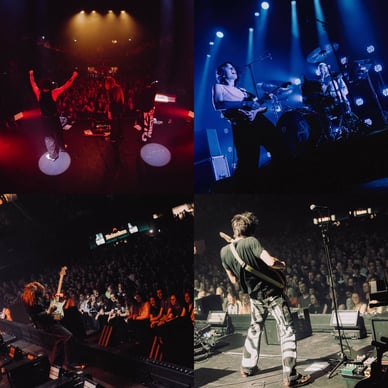 the vices concert