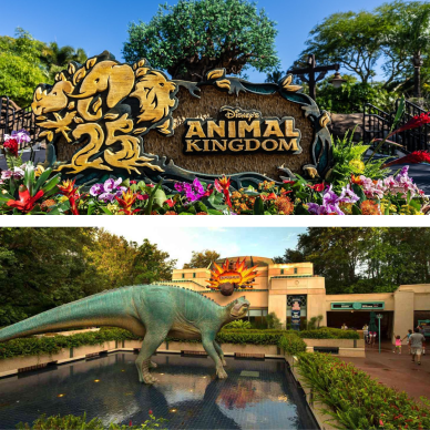 Disney's Animal Kingdom