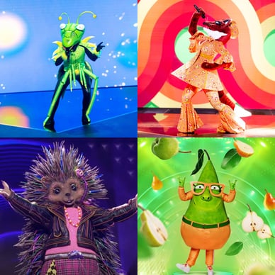 deelnemers the masked singer