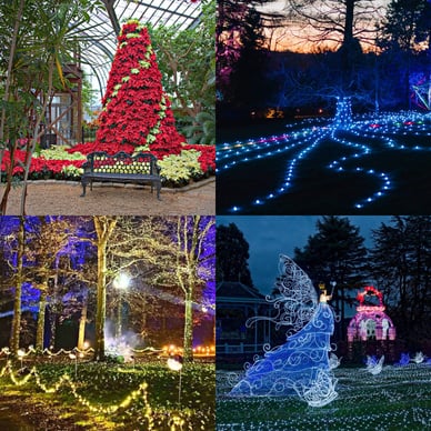 botanical gardens birmingham christmas