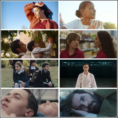 Διεθνές Φεστιβάλ Κινηματογράφου Θεσσαλονίκης Ταινίες στο TIFF