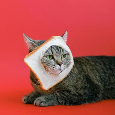 foto de perfil whatsapp Fotos de perfil para WhatsApp