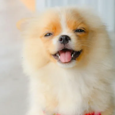 foto de perfil whatsapp Fotos de perfil para WhatsApp