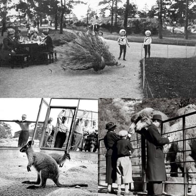 korkeasaari historia