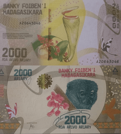 Банкнота Мадагаскару номіналом 2000 аріарі, випущена в 2017 році в рамках серії «Мадагаскар і його багатства»