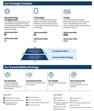 dechra pharmaceuticals strategy
